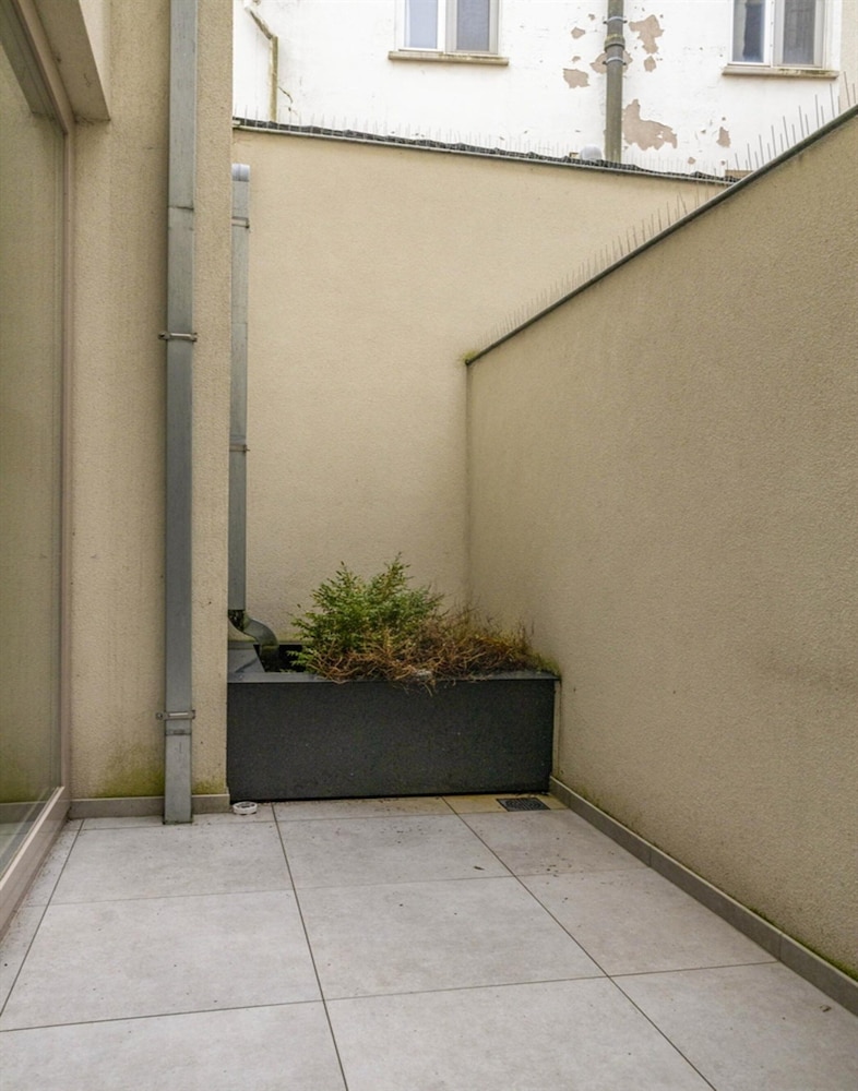 Apartment in Blankenberge Near Sea Dyke