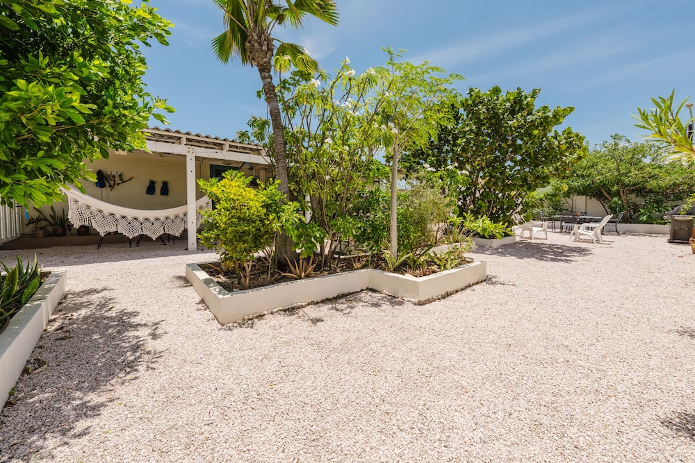 1 Minute Walk to Beach Aruba Mangel Halto