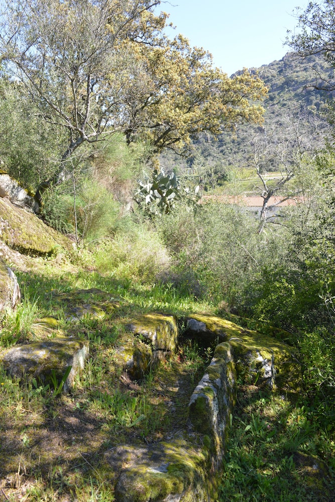 Casas Rurales Aldeaduero