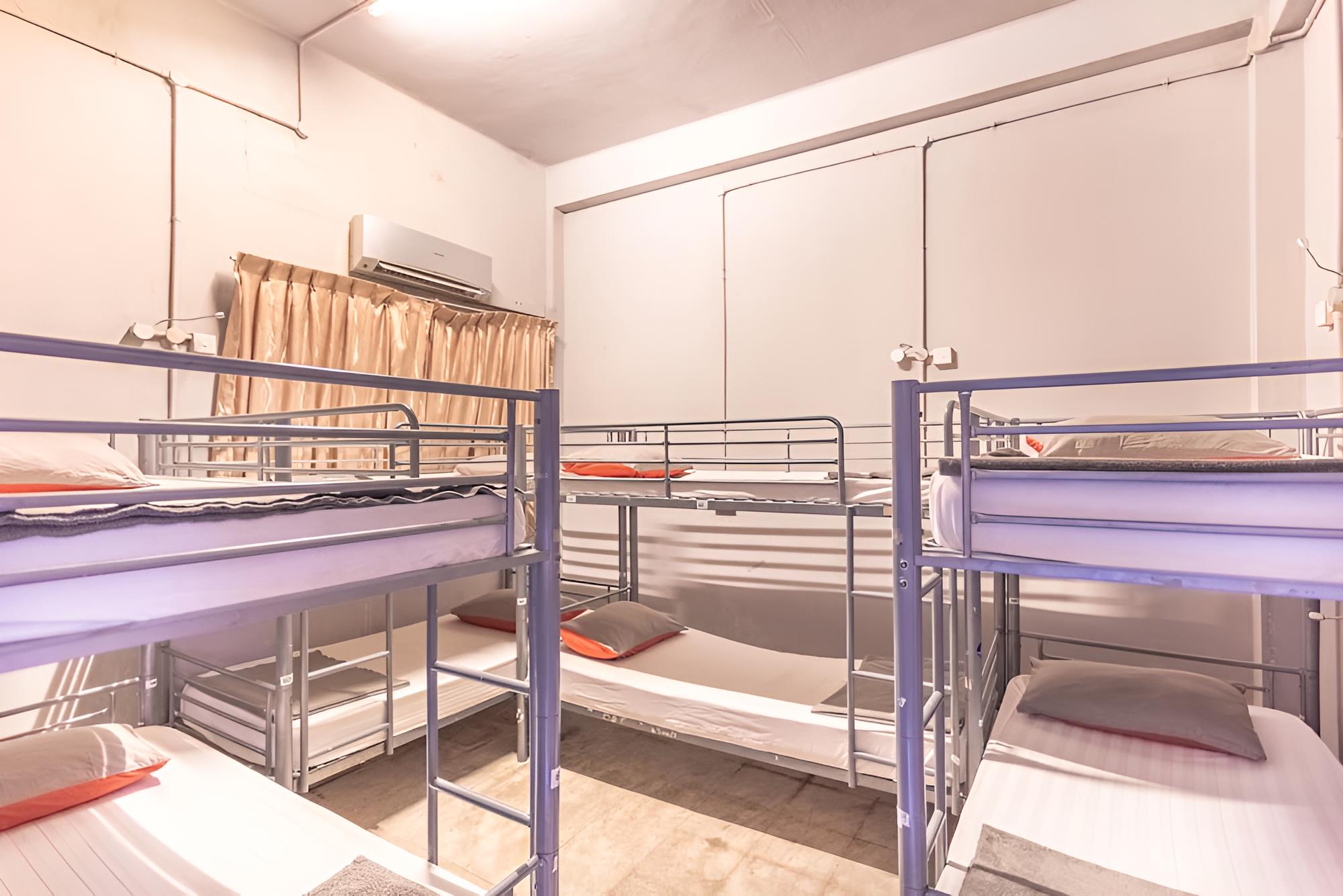 City Backpackers - Hostel