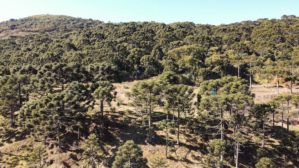 Pousada Fazenda Pedra Preta