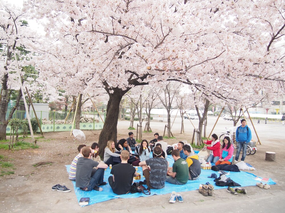 Sakura Hostel Asakusa