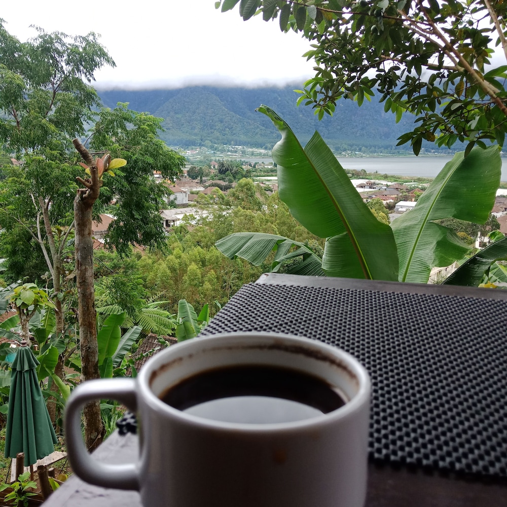 ECOcamp Bedugul view 2
