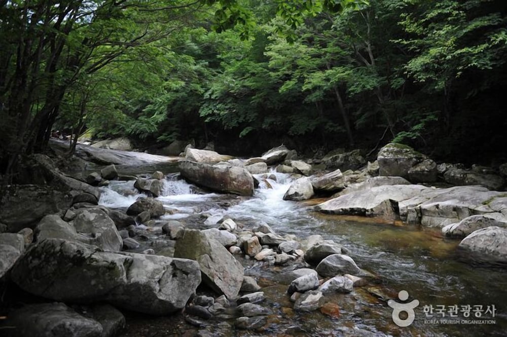 Muju Cherish Pension