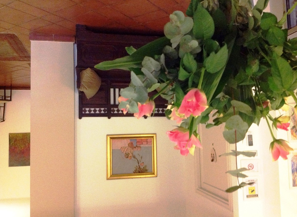 B&B Aloisio