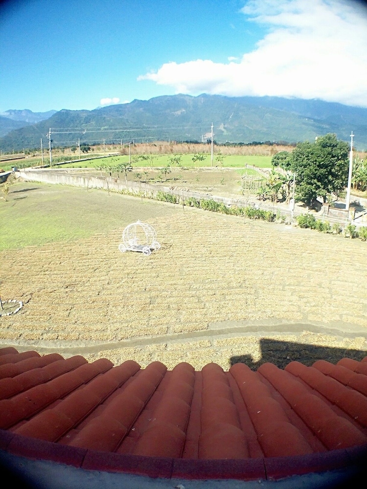 Fly in Sunnyday