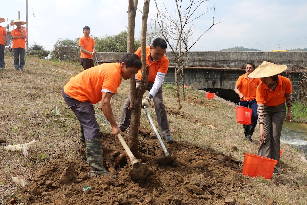 Banyan Tree Tengchong