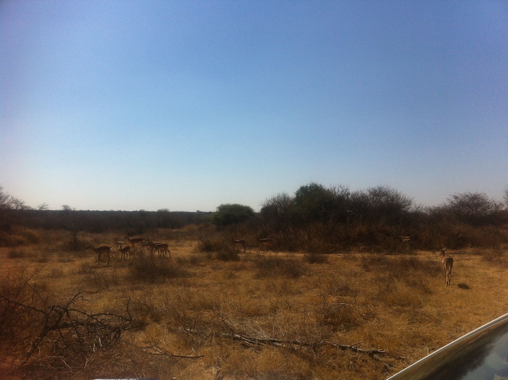 Khama Rhino Sanctuary
