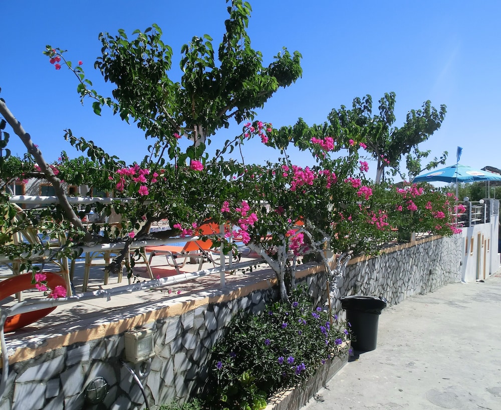 Santorini Camping & Hostel