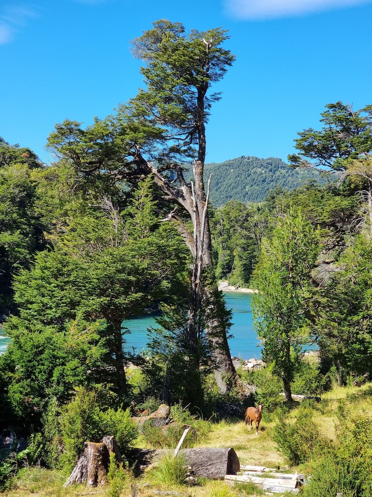 La Bella Patagonia