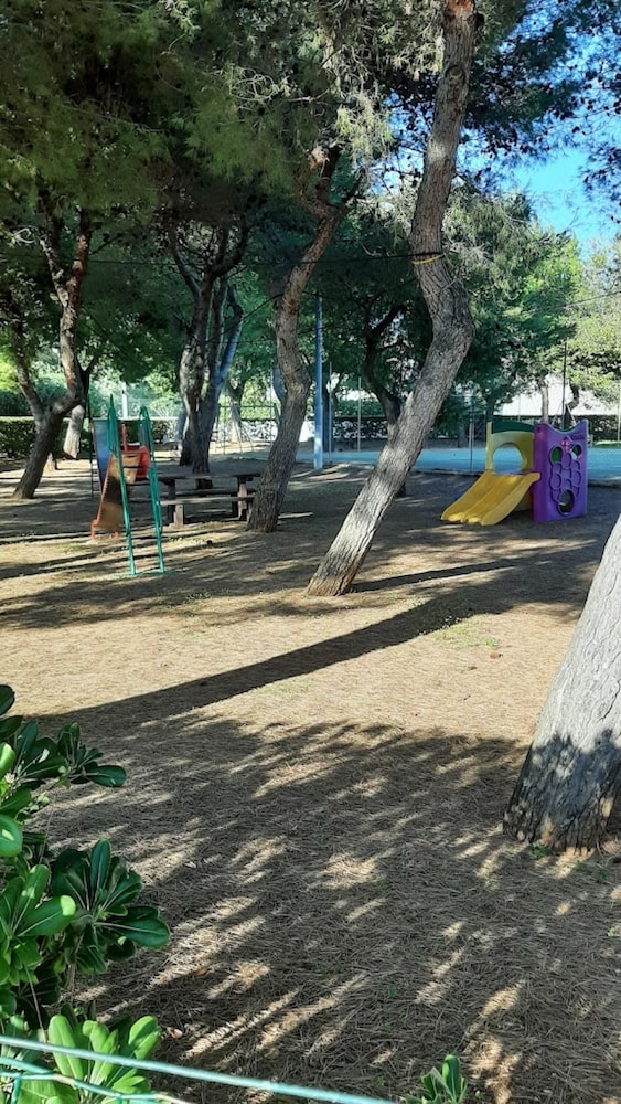 Photo 30