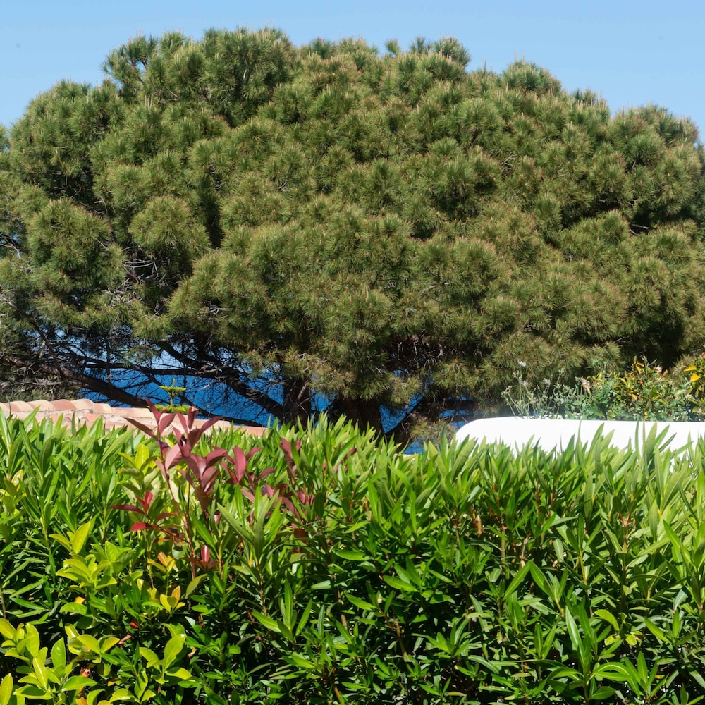 Casa EOS in Baia Sant Anna
