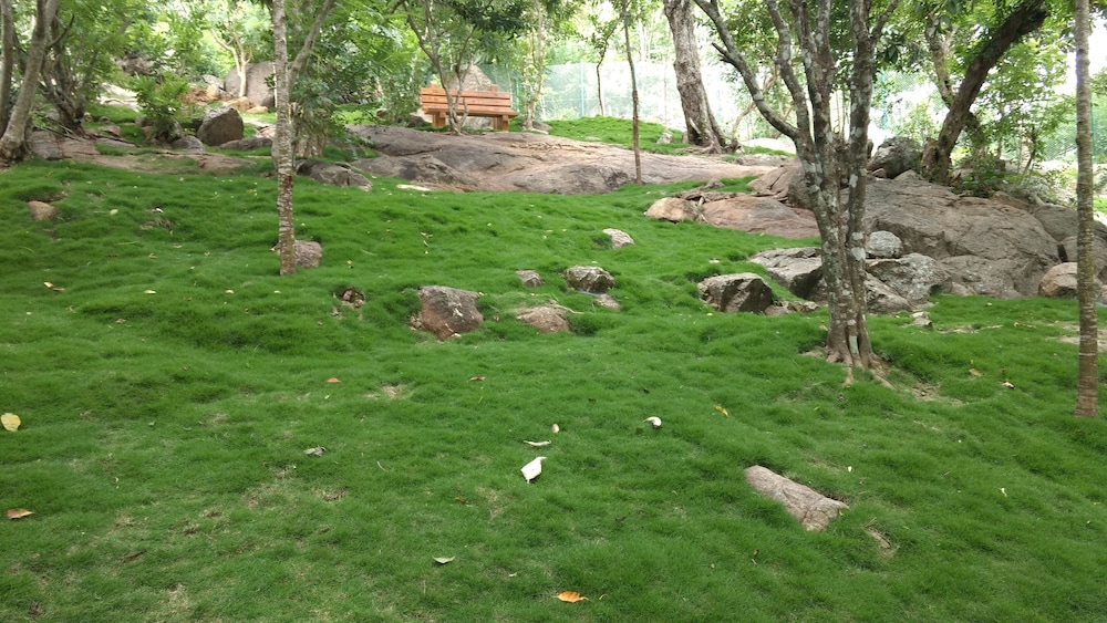 The Brook Resorts & Spa