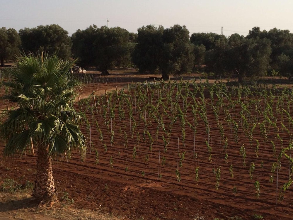 Tenuta Annibale
