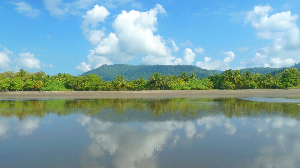 Jardin de los Monos