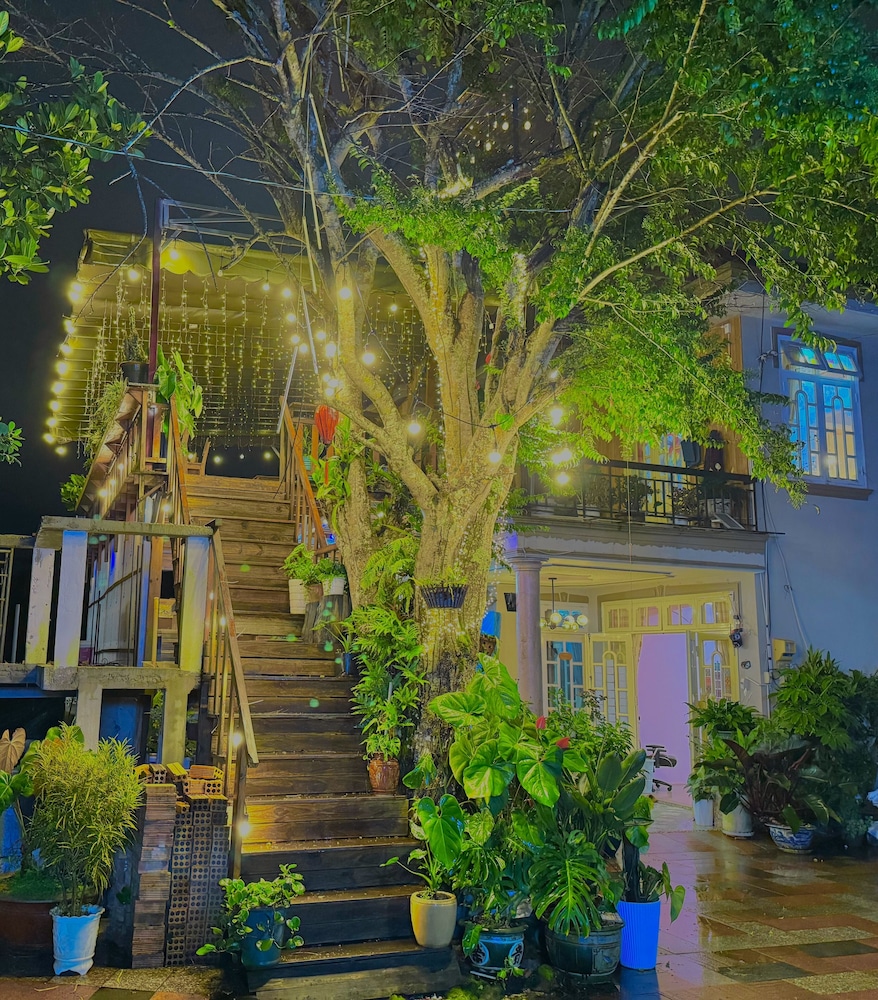 My Stay 1 Le Van Tam