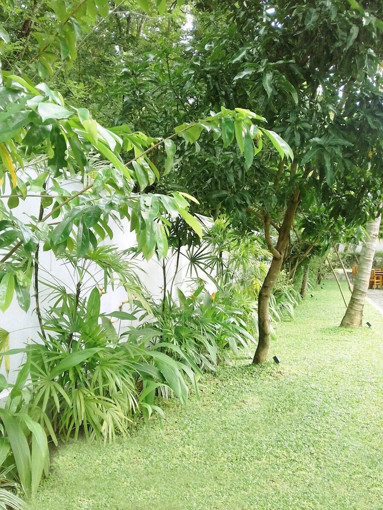 Photo 46