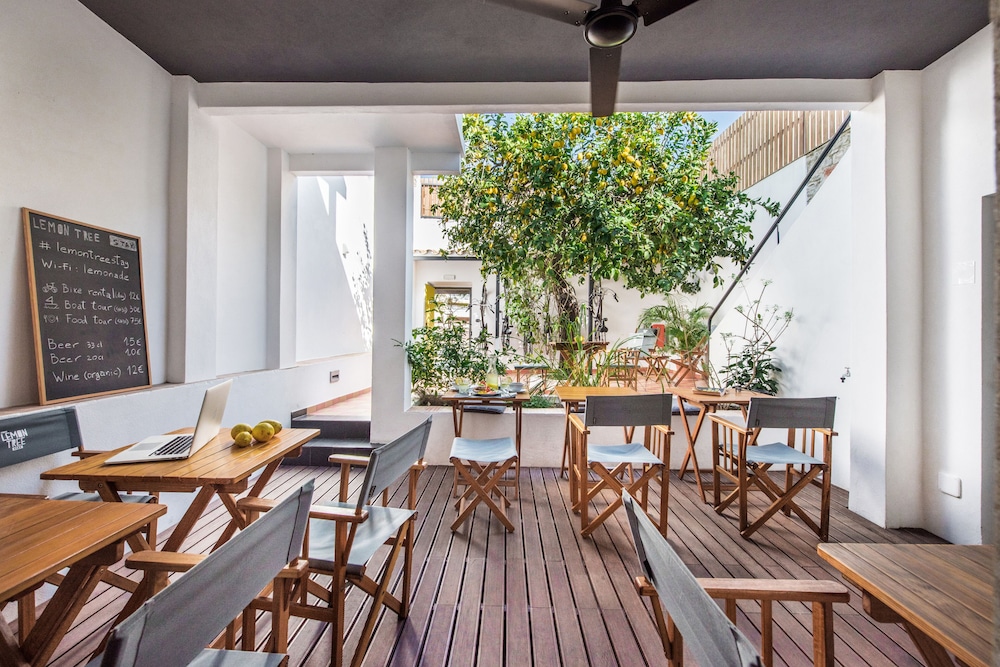 Lemon Tree Stay