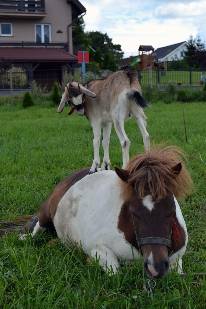 Photo 34