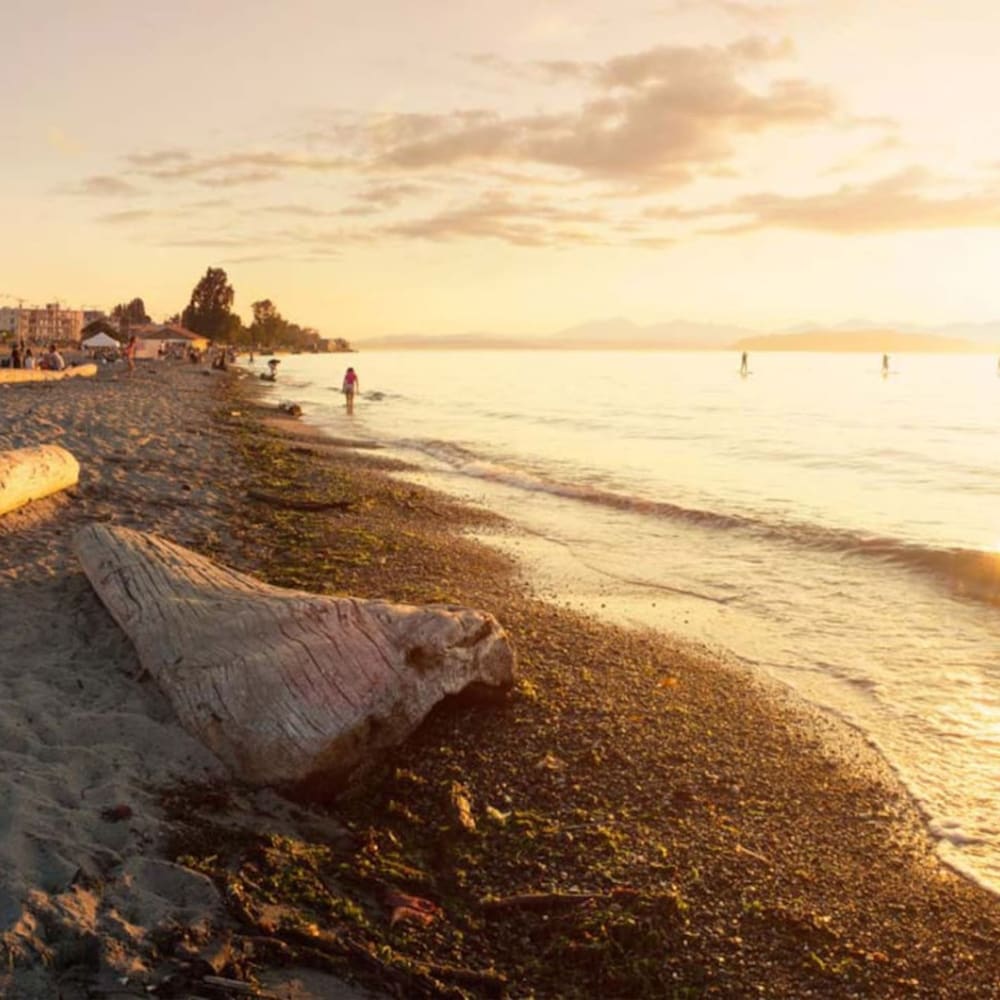 Photo 37