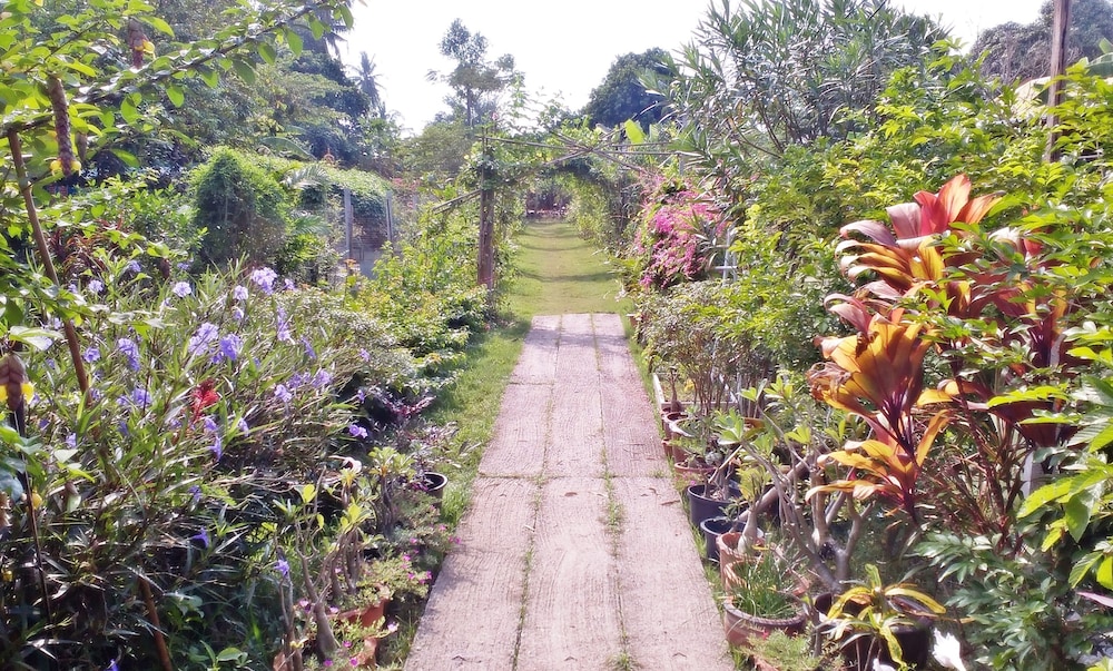 Baanbon Homestay