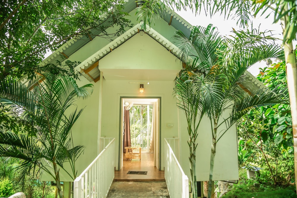 Cavern Resort Wayanad view 3