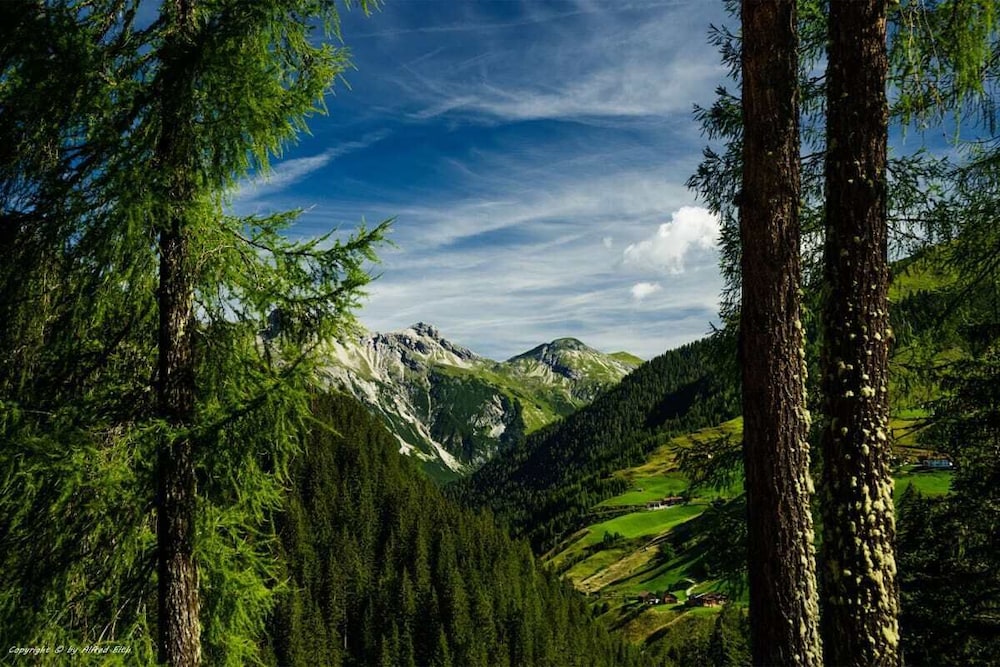 Gastbetrieb Alpenhof