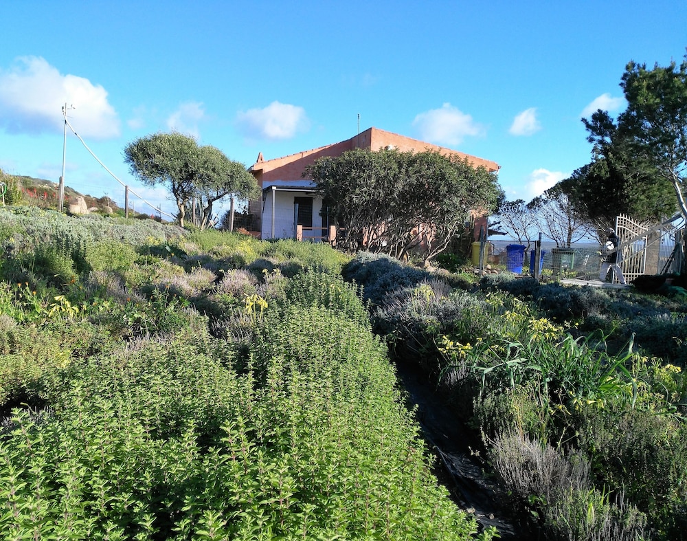 Agriturismo Erbe Matte - Campingplads, Billede 50