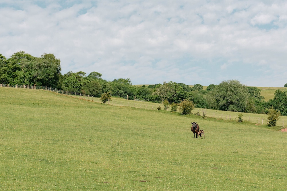 Alltybrain Farm Cottages and B&B