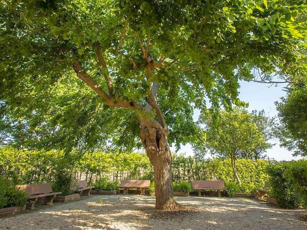 Apartment in Bolgheri Near Tuscan Beaches view 2