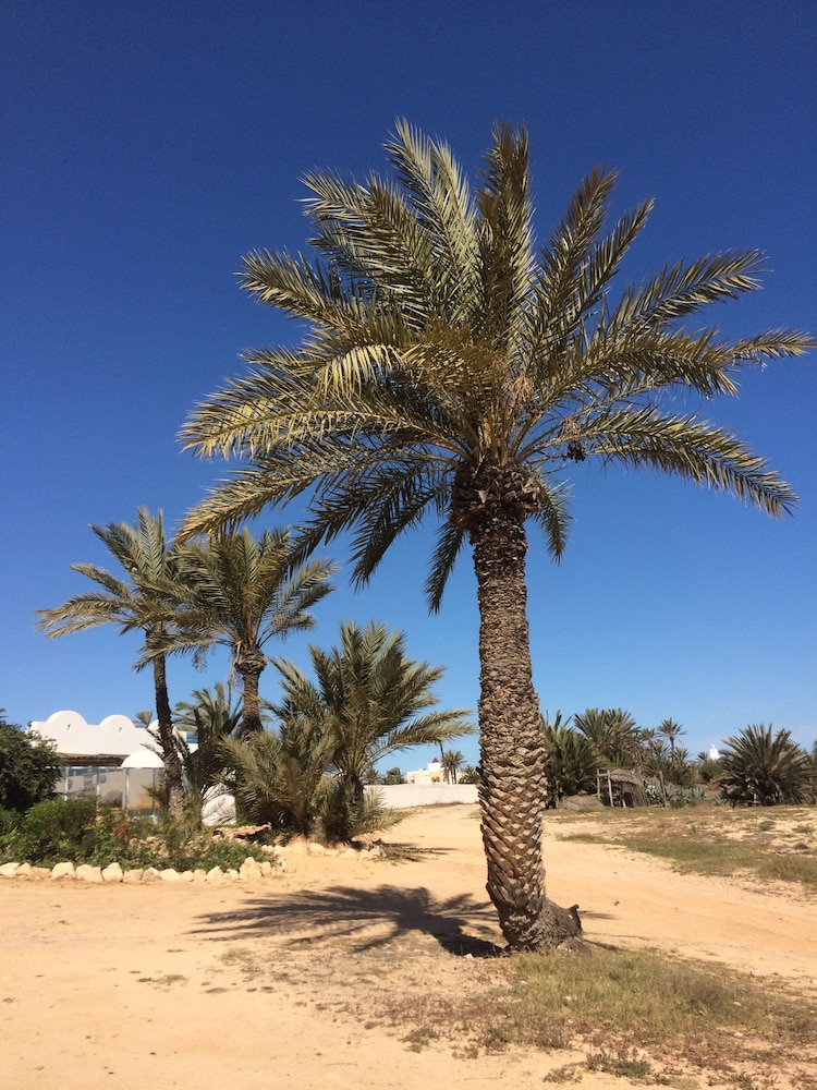 Dar Jasmin Djerba