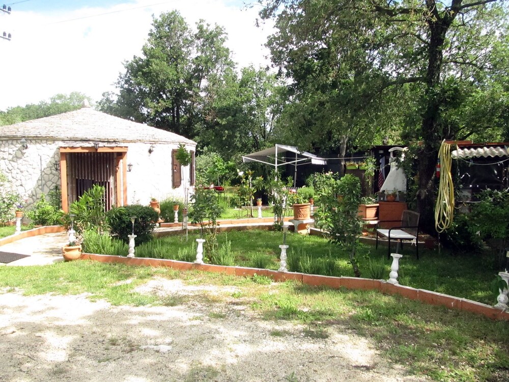Photo 16