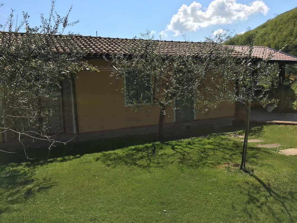 Photo 16