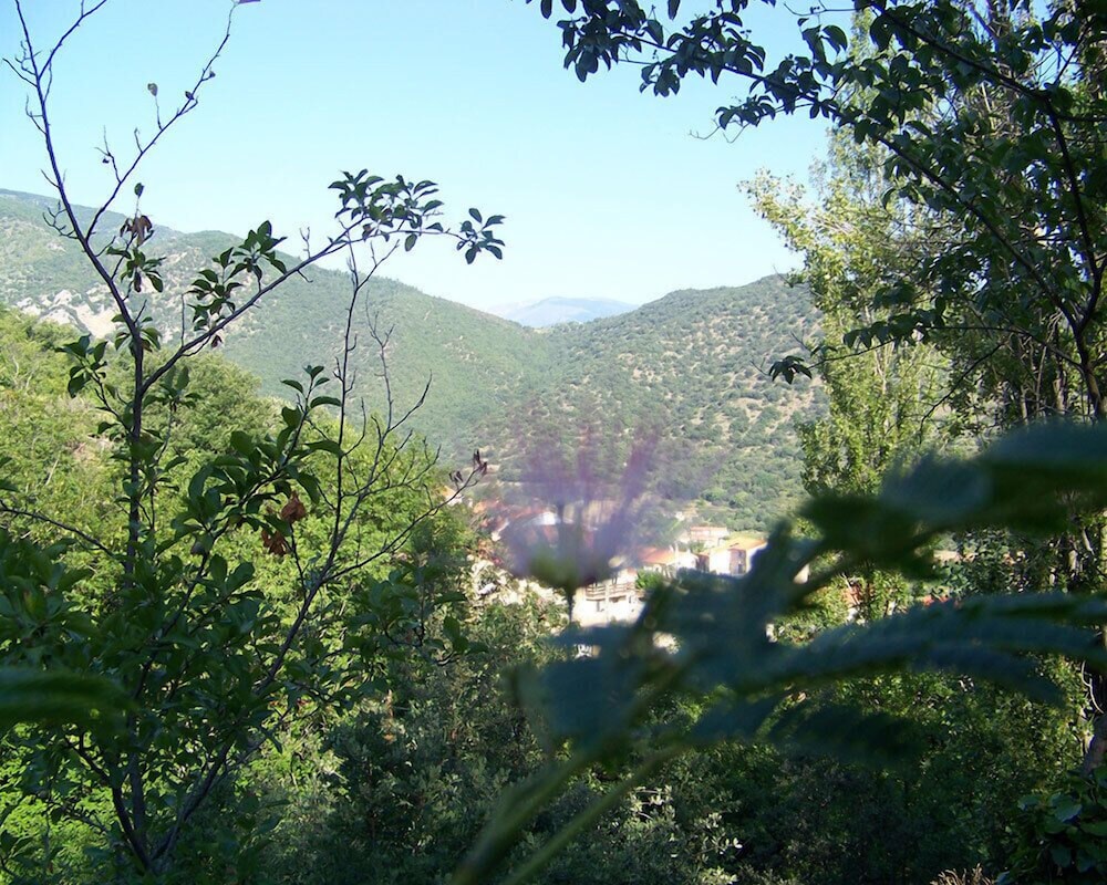 Photo 29