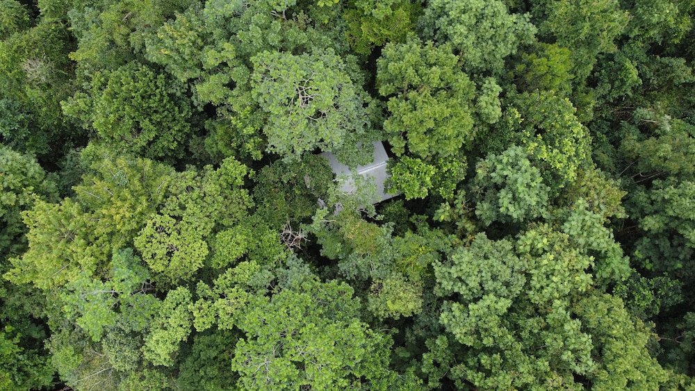 Yatama Ecolodge Sarapiqui