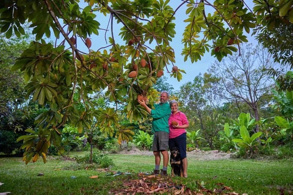 Cape Trib Farmstay