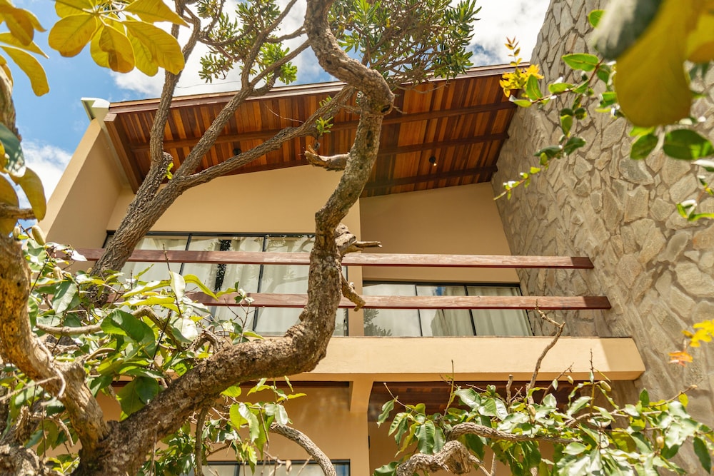 Lofts Lobo Guara
