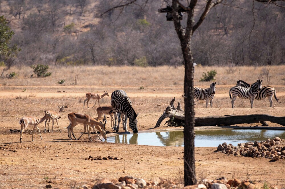 Ximuwu Safari Lodge