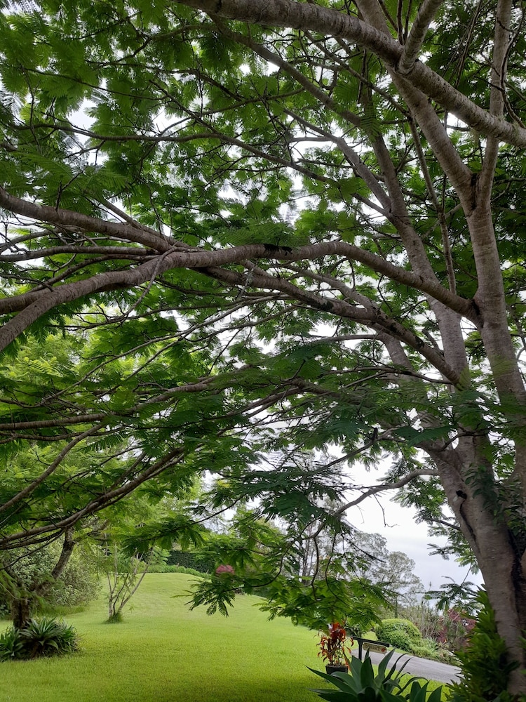 A View of Mt Warning B&B