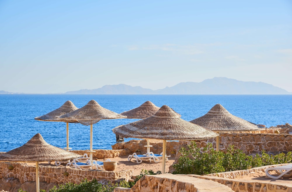 Dreams Beach Sharm el Sheikh — photo 14