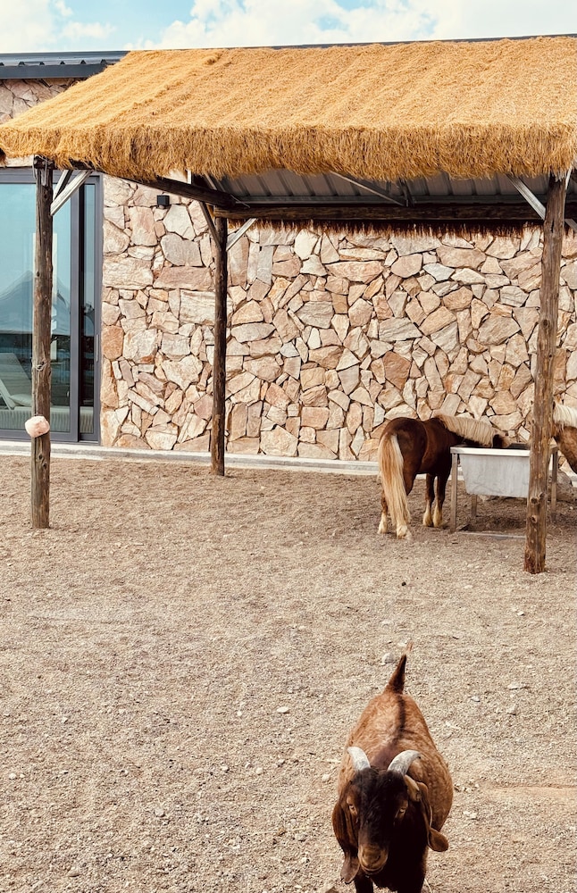 QING Luxury Campground Hotel