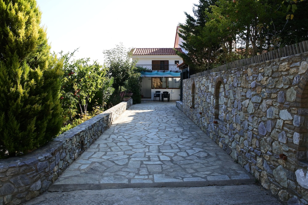 Photo 7