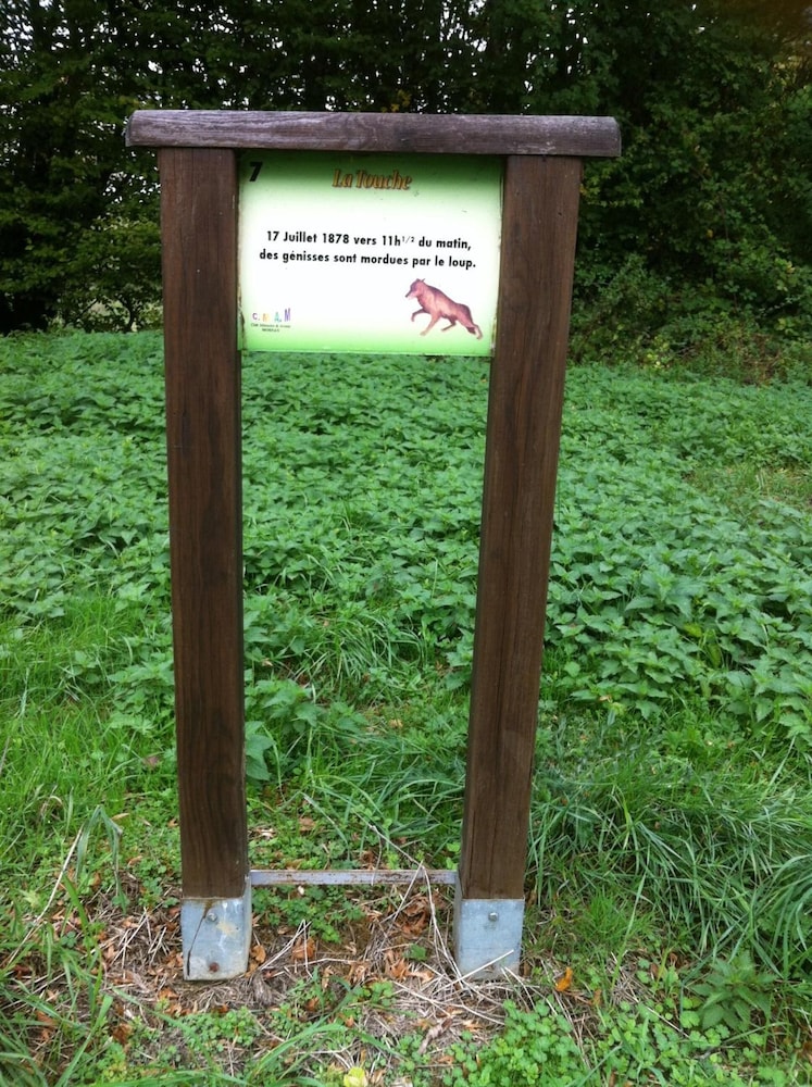 Photo 48