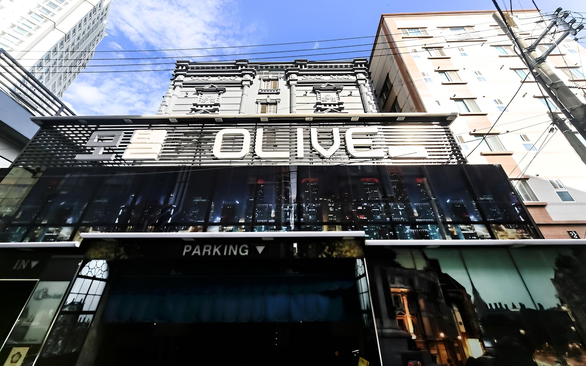 Busan Sajik Olive view 2