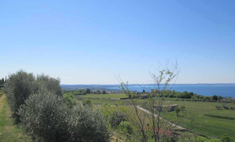 Photo 29