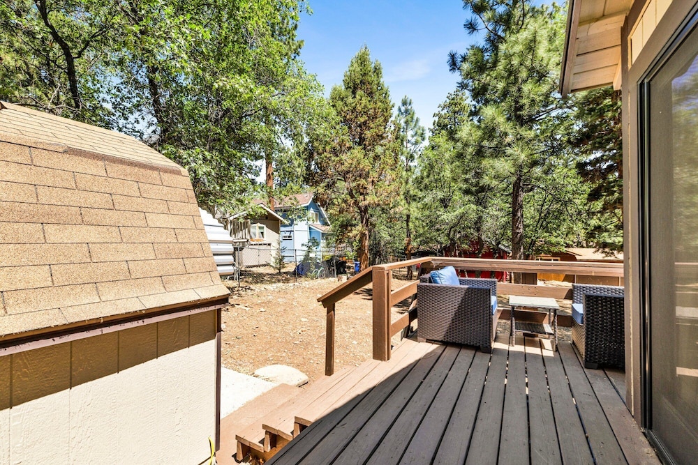 Bear Forest Cabin #2553