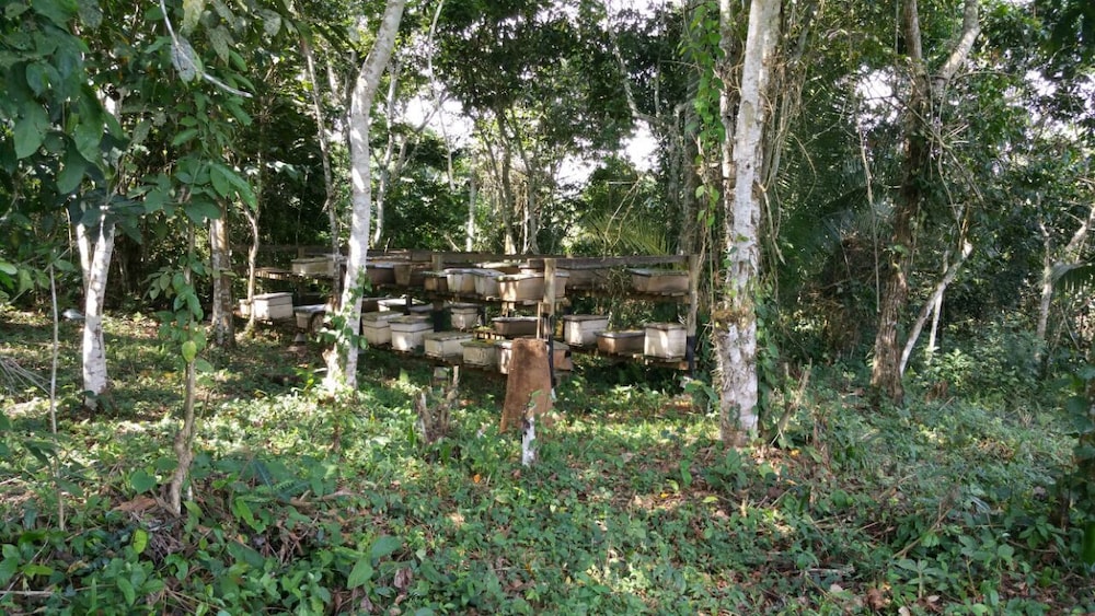 Nakoosi Eco Lodge & Backpackers