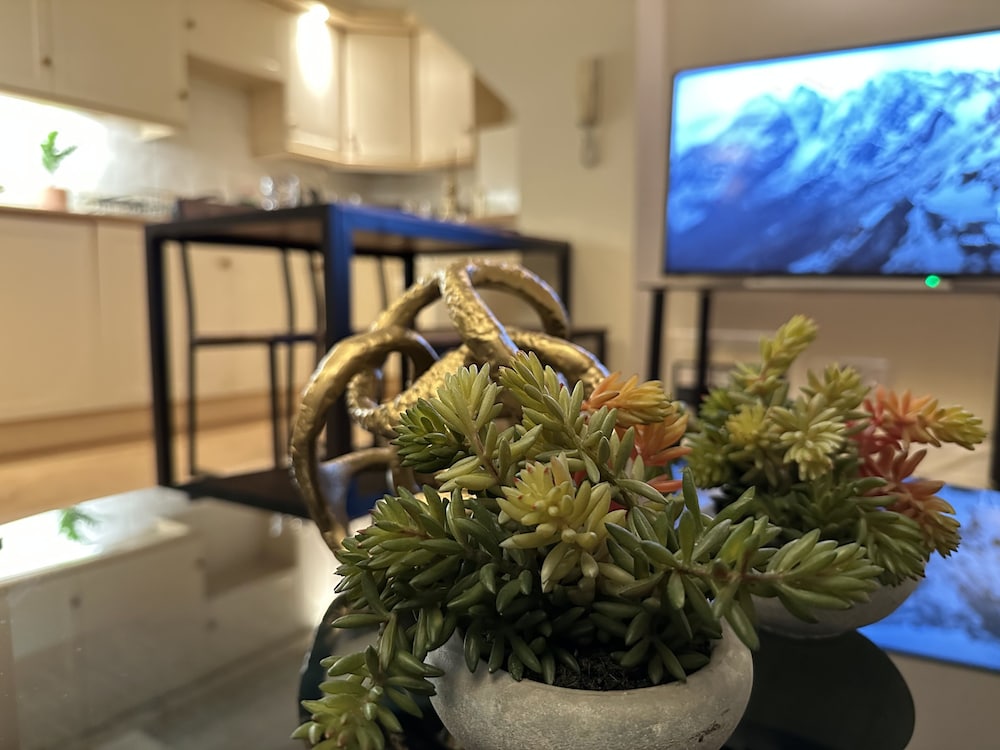 hotel reception