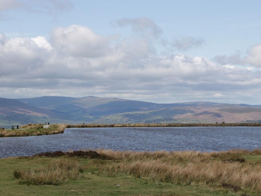The Cwtch