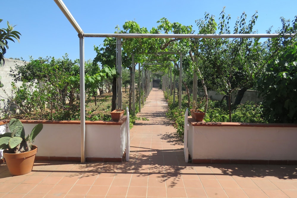 Salanitro